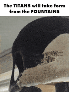 the titans will take form from the fountains written on a poster