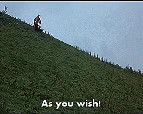 the scene from the princess bride where the dread pirate roberts says as you wish as he tumbles down a hill -- it's posted here because it's silly, and I care about using correct syntax parsing