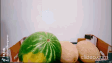 I Watermelon Watermelon App GIF - I Watermelon Watermelon App Watermelon Prober GIFs