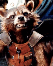 Rocket Ungry GIF - Rocket Ungry Gotg GIFs