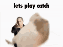 Catch Loop GIF - Catch Loop Hamster GIFs
