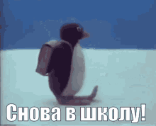 деньзнаний 1сентября школа пингвин GIF