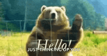a grizzly bear is waving its paw in front of a fence and says hello ! just thinking of you .
