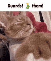 a picture of a cat and the words guards them