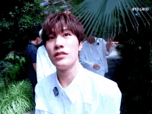 a boy in a white shirt is standing in front of a palm tree with the words byd land written on the bottom