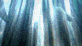 a blurred image of a forest with trees and a blue sky