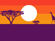 a giraffe stands in front of a sunset with trees