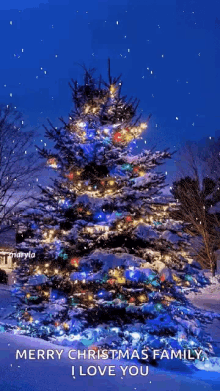 snow christmas tree christmas lights night time