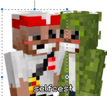 a couple of minecraft characters standing next to each other with the words selfcest on the bottom right