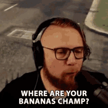 where are your bananas champ where are the bananas bananas where they at looking for bananas champ