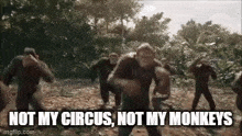 Not My Circus Not My Monkeys GIF - Not My Circus Not My Monkeys GIFs