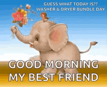 Good Morning Elephant GIF - Good Morning Elephant Walking GIFs
