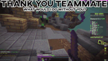 Bedwars Bedwars Team GIF - Bedwars Bedwars Team Bedwars Doubles GIFs
