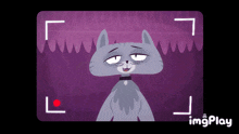 Kitty Is Not A Cat Video Message GIF - Kitty Is Not A Cat Video Message GIFs