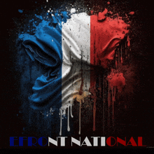 a poster with a french flag and the words " front national " below it