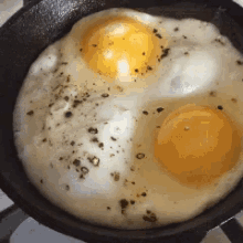eggs egg sunny side up cooking breakfast