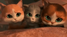 Scared Terrified GIF - Scared Terrified Cat GIFs
