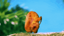a painting of a chicken on a rock with a blue sky behind it