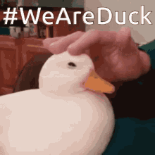 We Are Duck Yaztroll GIF - We Are Duck Yaztroll Mikeyastrzemgod GIFs