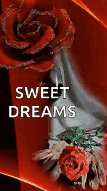 Sweet Dreams Good GIF - Sweet Dreams Good Night GIFs