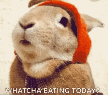 GIF