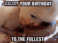 baby on cake anim birthday baby cake crash