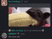 a screenshot of a chat between ba_humbugi and xm800t at 22:05