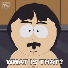 What Is That Randy Marsh GIF - What Is That Randy Marsh South Park Spring Break GIFs