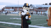 Pittsburgh Steelers Steely Mcbeam GIF
