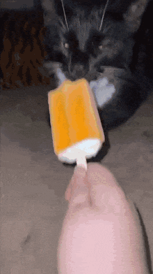 Cat Licking GIF - Cat Licking Ice Cream GIFs