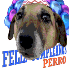 happy birthday cumplea%C3%B1os perro caracas venezuela