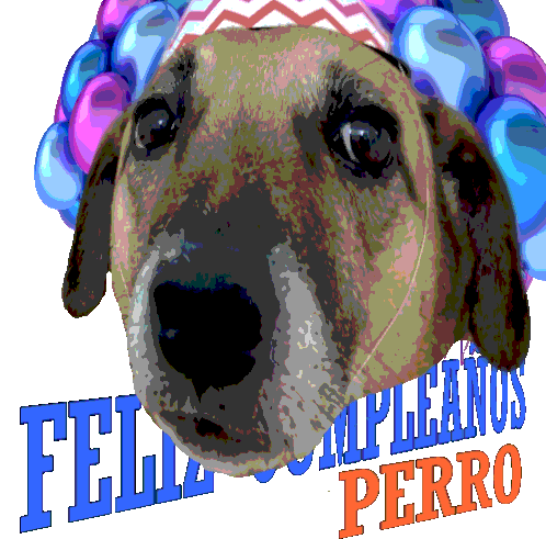 Happy Birthday Cumpleaños Sticker - Happy Birthday Cumpleaños Perro Stickers