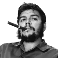 a man with a beard is smoking a cigar in his mouth