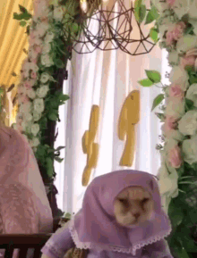Cat Hijab Girl GIF - Cat Hijab Girl جمعة GIFs