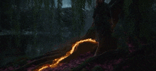 a person standing under a tree with a fire trail coming out of it