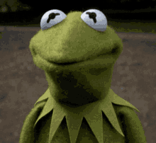 Kermit Gulp GIF - Kermit Gulp Gulping GIFs