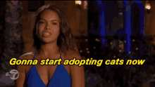 Cats GIF - Cats Catlady Adopt GIFs
