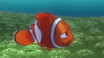 Finding Nemo Seriously Bro GIF - Finding Nemo Seriously Bro Marlin GIFs