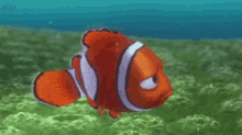 Finding Nemo Seriously Bro GIF - Finding Nemo Seriously Bro Marlin GIFs