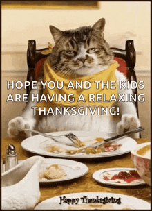 Happy Thanksgiving Fat Cat GIF - Happy Thanksgiving Fat Cat Cats Eating Dinner GIFs