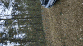 a car is parked on the side of a dirt road in a forest .