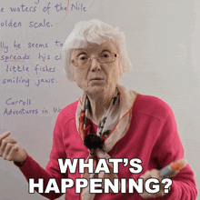 What'S Happening Gill GIF - What'S Happening Gill Engvid GIFs