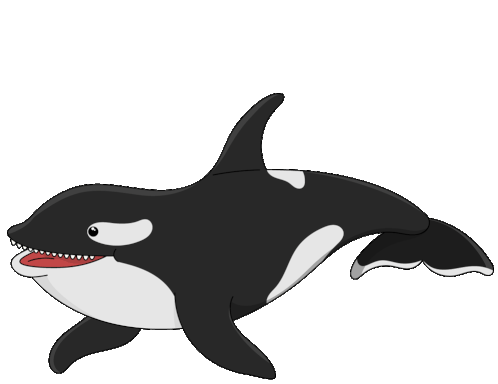 Whale Killer Whale Sticker