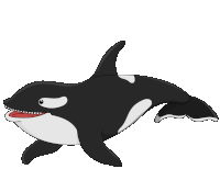 Whale Killer Whale Sticker - Whale Killer Whale Orca Stickers