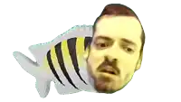 a fish with a man 's face on it 's tail