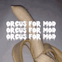 Orcus Orcus For Mod GIF - Orcus Orcus For Mod Nobodys Discord GIFs