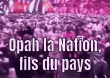 Opah La Nation Fils Du Pays GIF - Opah La Nation Fils Du Pays Gbagbo GIFs