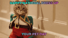 Dressed Cat Dress Up Your Pet Day GIF