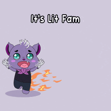 a cartoon drawing of a cat with the words it 's lit fam written above it