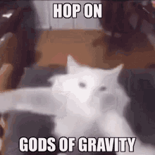 Hop On Hop On Gods Of Gravity GIF - Hop On Hop On Gods Of Gravity Gods Of Gravity GIFs